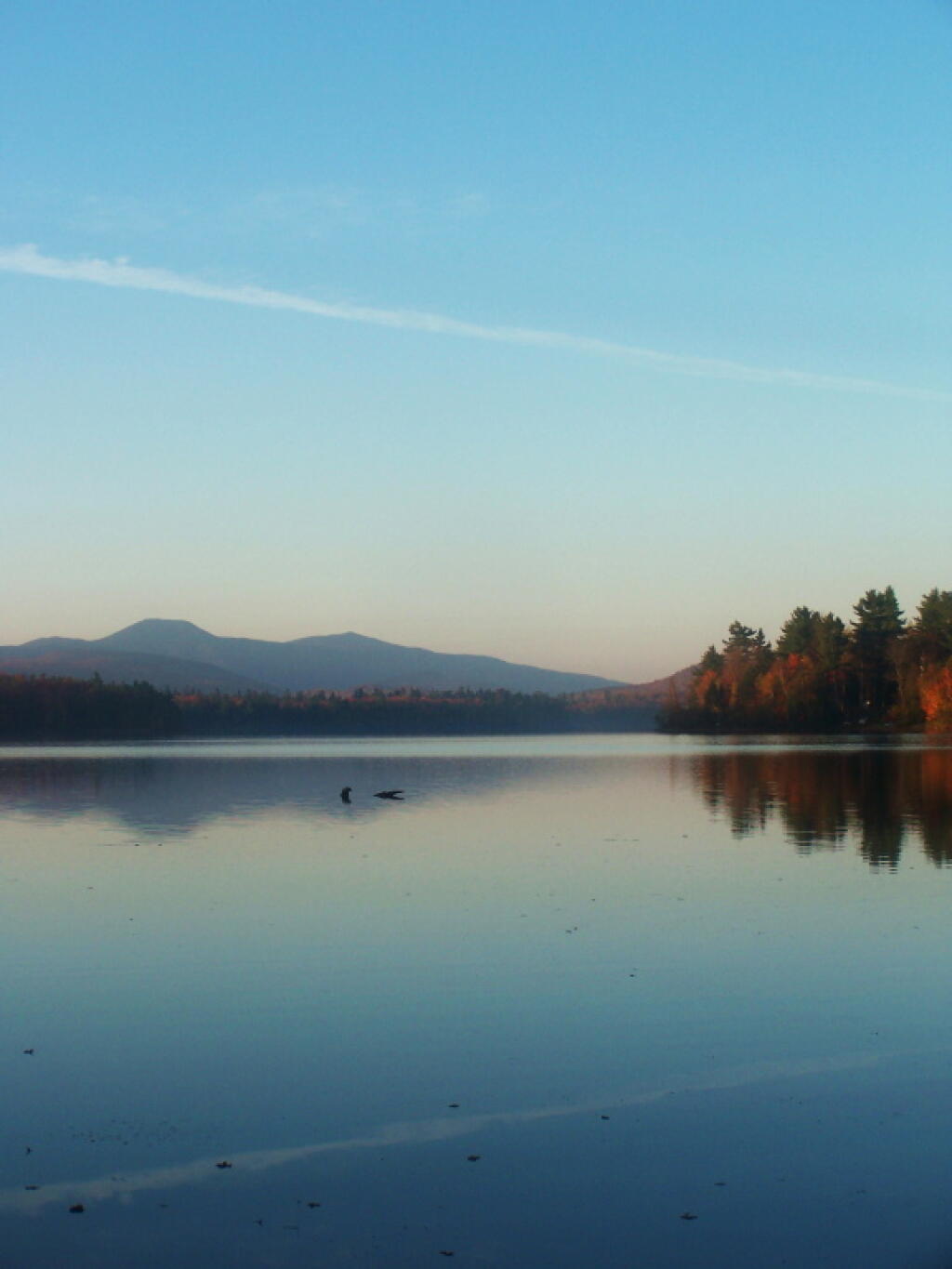 Photo: Morning Fog Lifting Photo: Morning Fog Lifting