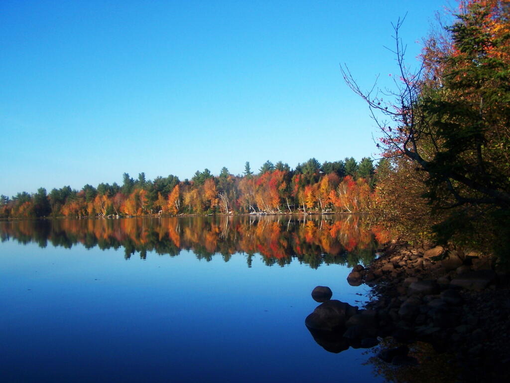 Photo: Another Colorful Morning Photo: Another Colorful Morning