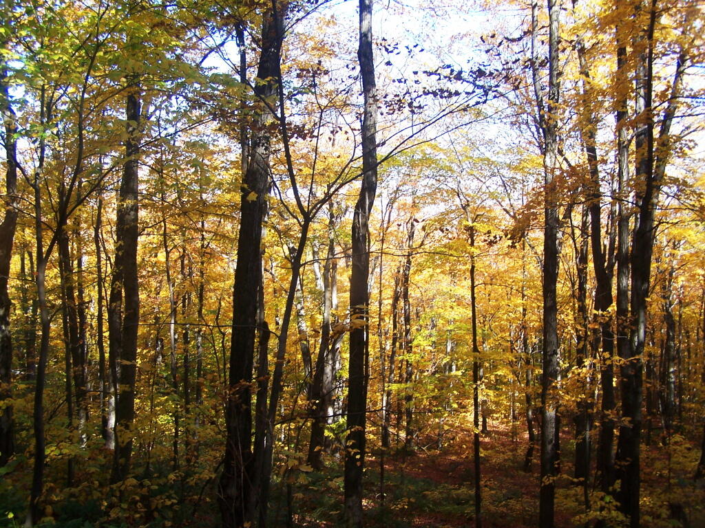 Photo: Peering Into the Valley Photo: Peering Into the Valley