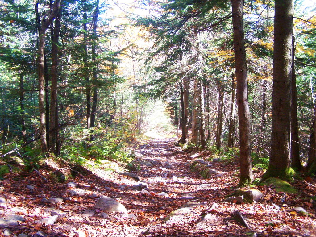Photo: On the Old Trail Photo: On the Old Trail