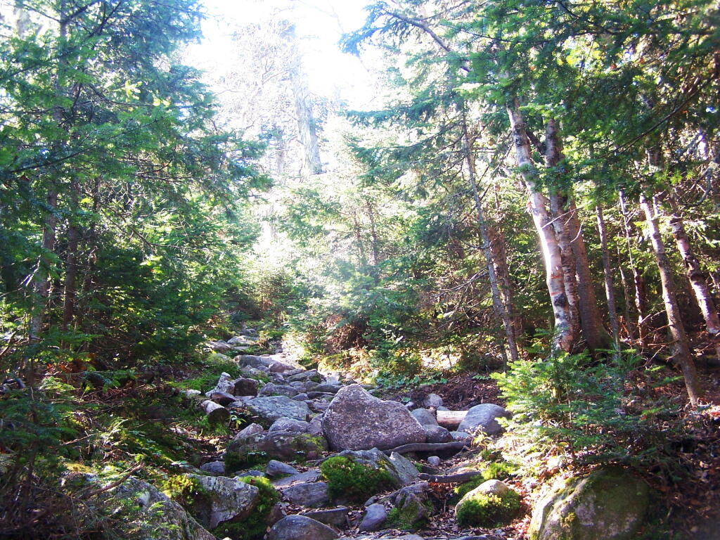 Photo: Steep and Eroded Old Trail Photo: Steep and Eroded Old Trail