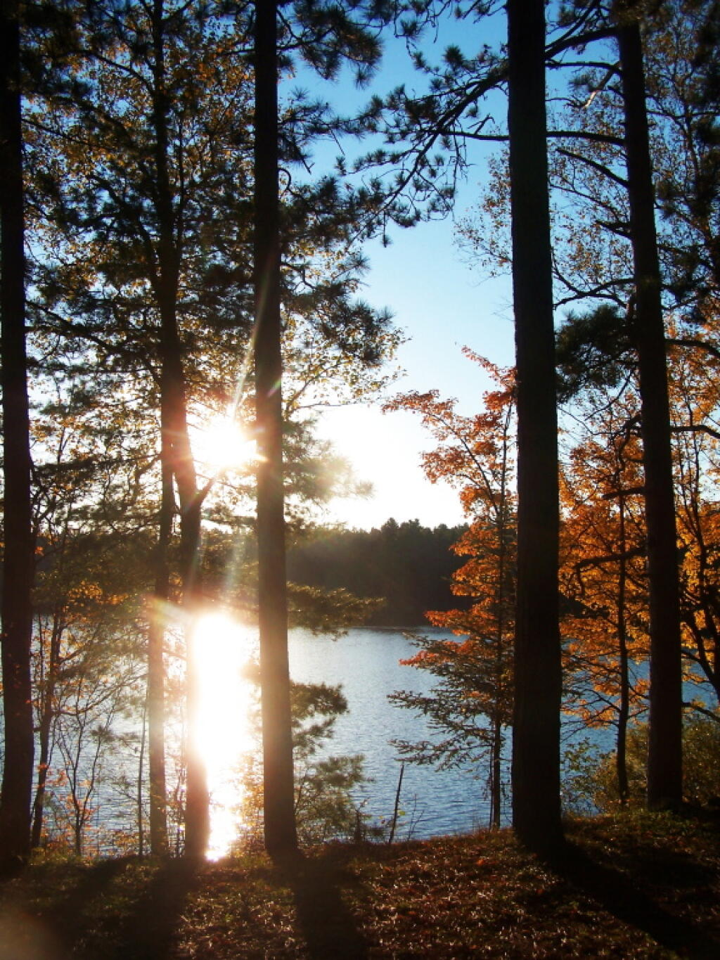 Photo: Four O'Clock But Sun Already Setting Photo: Four O'Clock But Sun Already Setting