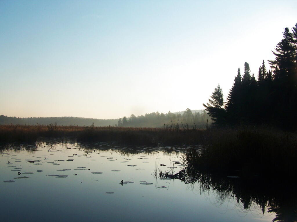 Photo: Jones Pond Looking East Photo: Jones Pond Looking East