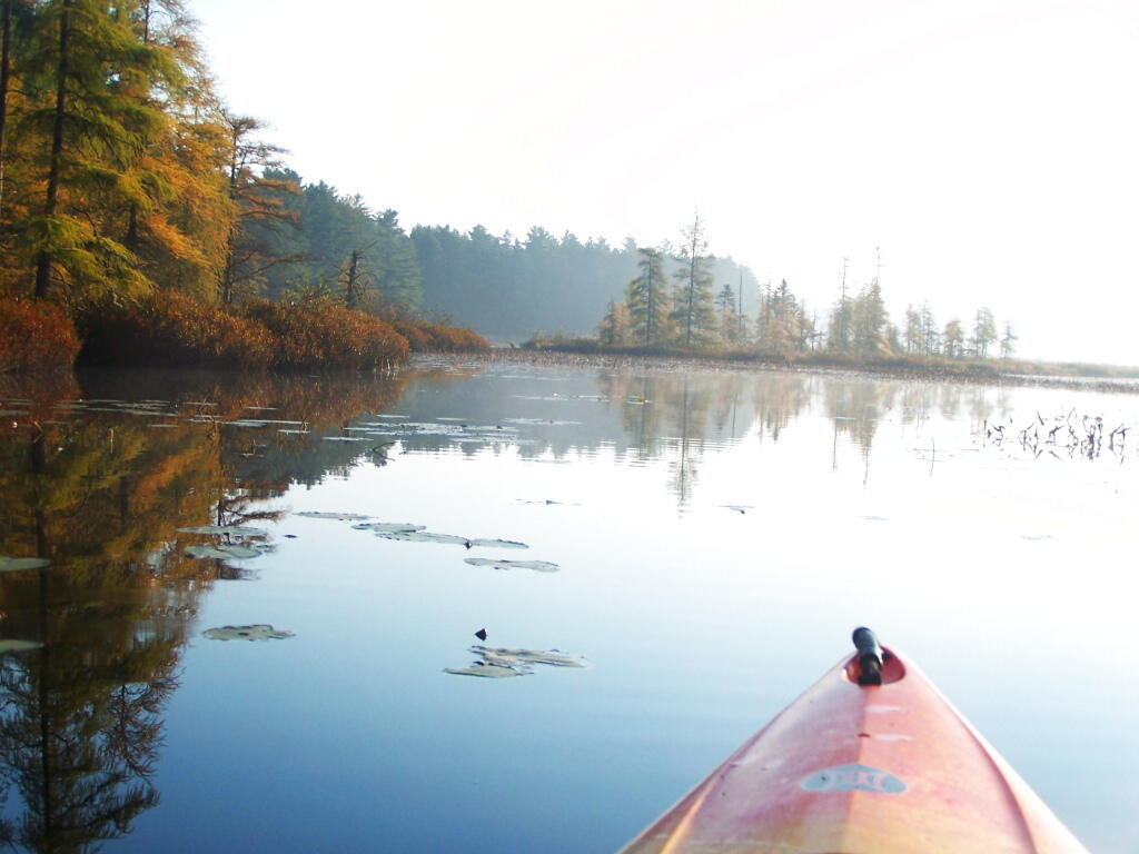 Photo: As Fog Rises on Jones Pond Photo: As Fog Rises on Jones Pond
