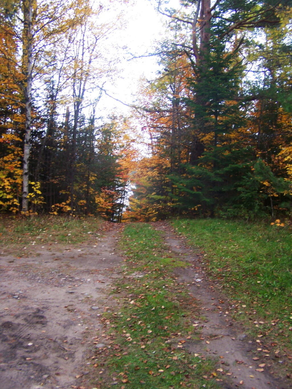 Photo: Steep Road to Lake Kushaqua Roadside Campsite Photo: Steep Road to Lake Kushaqua Roadside Campsite