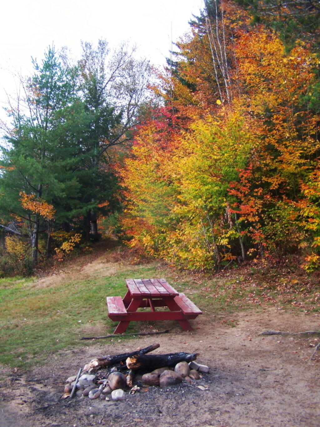 Photo: Designated Campsite on Lake Kushaqua Photo: Designated Campsite on Lake Kushaqua