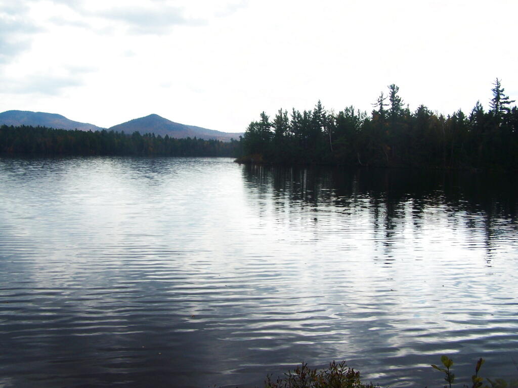 Photo: South Along Lake Kushaqua Photo: South Along Lake Kushaqua