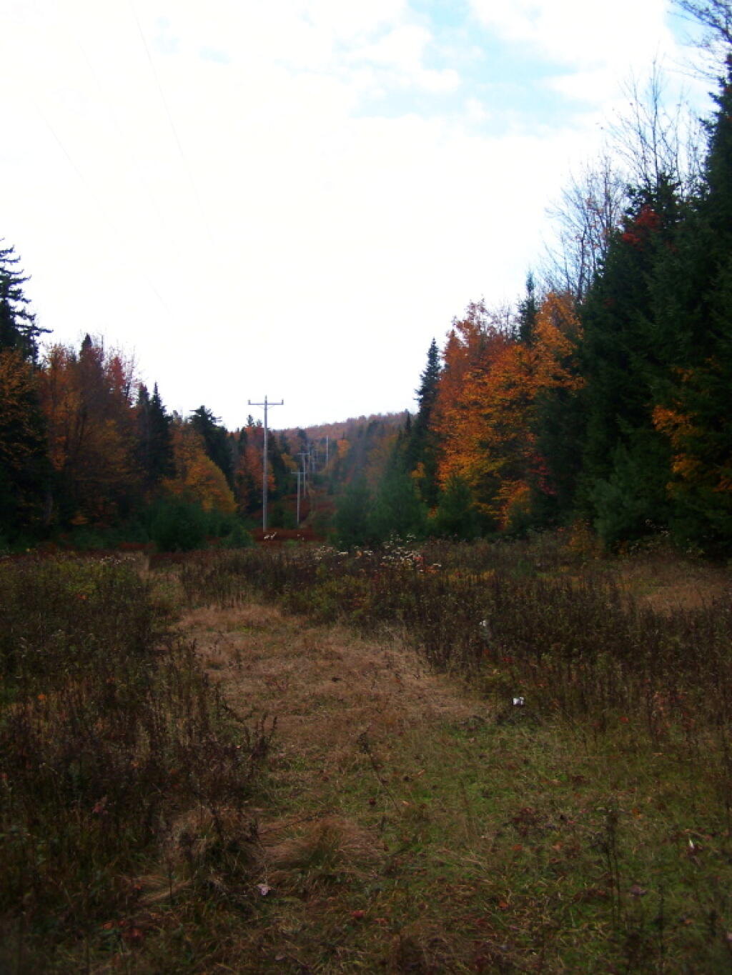 Photo: Power Line Right of Way Photo: Power Line Right of Way