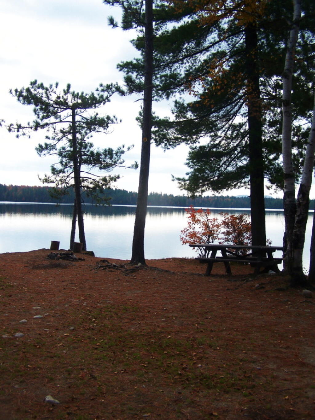 Photo: Kushaqua Roadside Campsite 2 Photo: Kushaqua Roadside Campsite 2