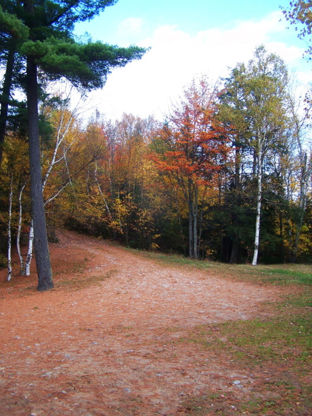 Photo: Back of Campsite, and Driveway Heading to Road Photo: Back of Campsite, and Driveway Heading to Road
