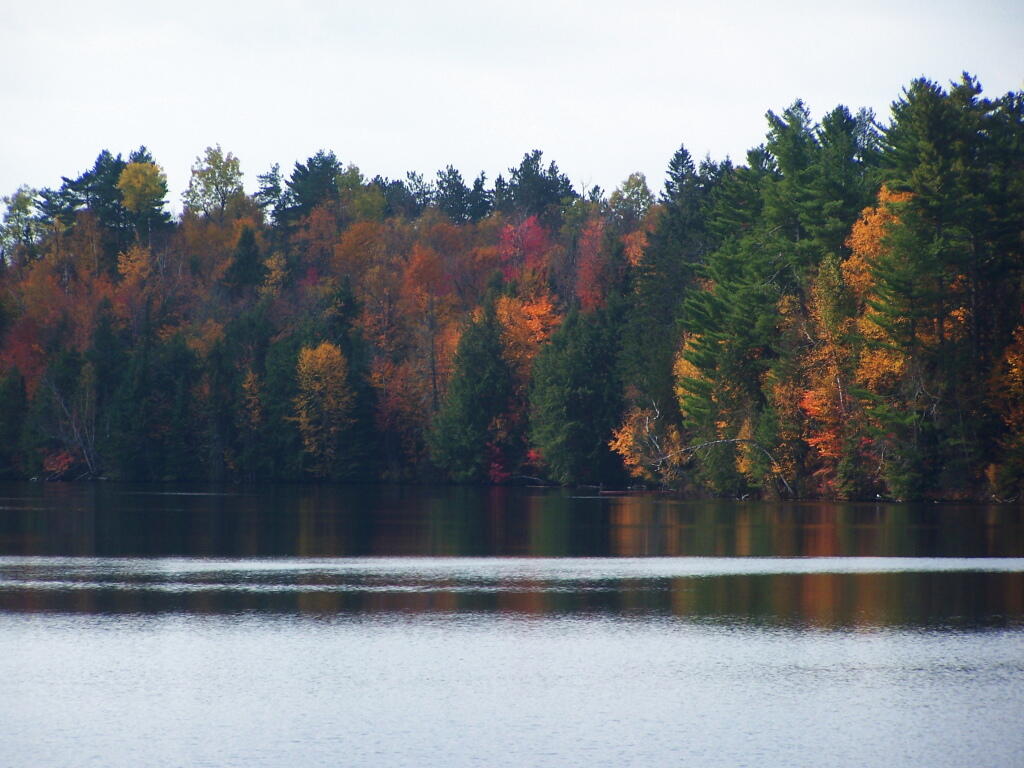 Photo: Remaining Fall Colors Photo: Remaining Fall Colors