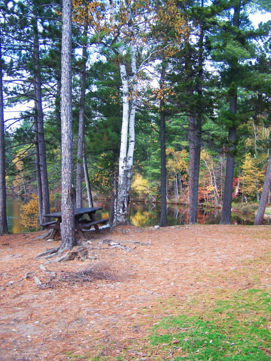 Photo: Another View of Campsite 2 Photo: Another View of Campsite 2