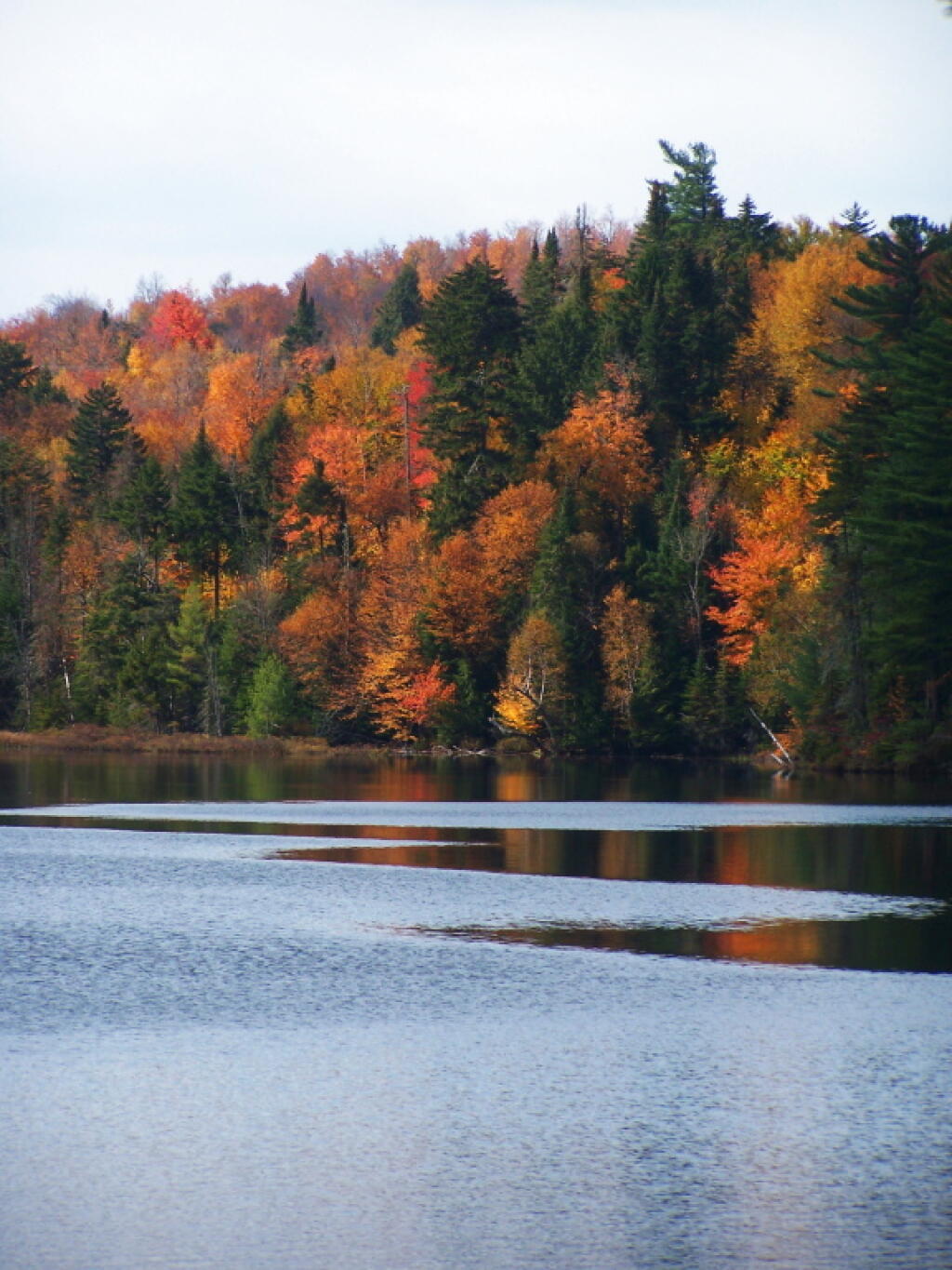 Photo: Last Oranges and Browns of Fall Photo: Last Oranges and Browns of Fall