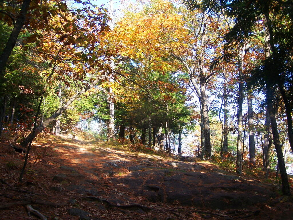 Photo: Last Ascent Up the Mountain Photo: Last Ascent Up the Mountain