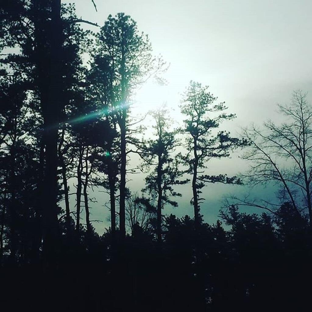 Photo: Low Photo: Low