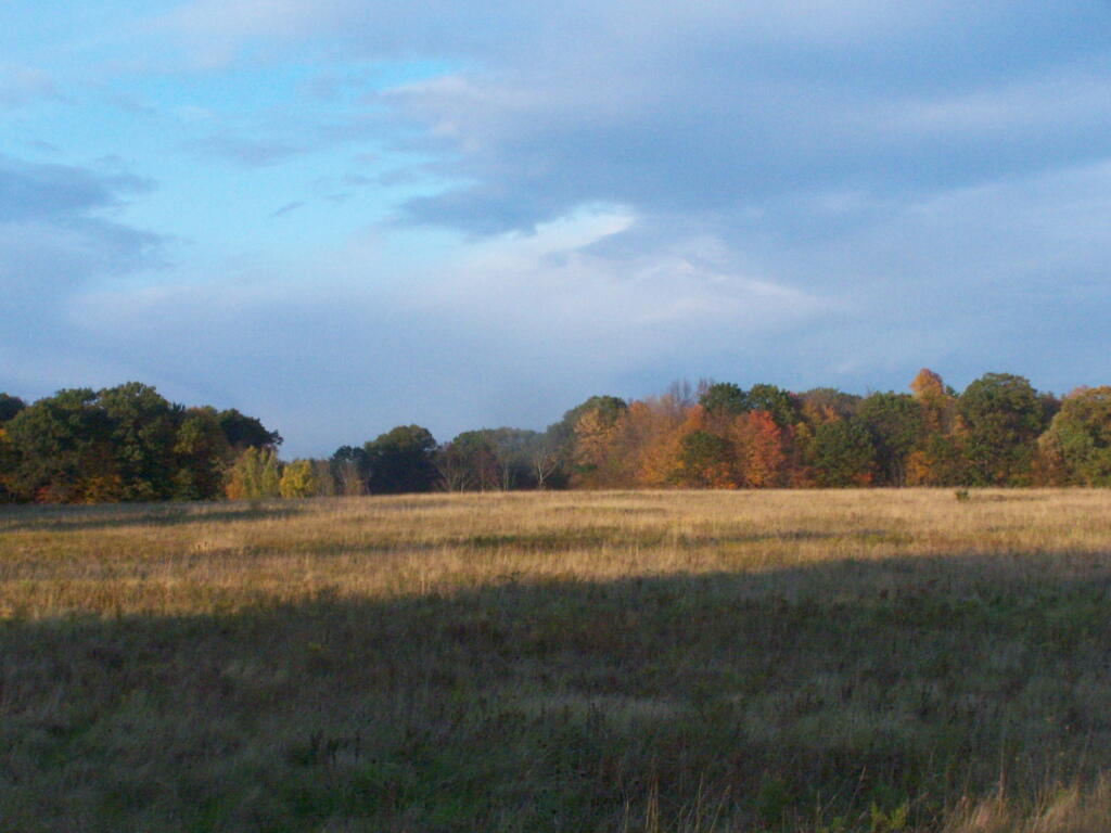 Photo: Field