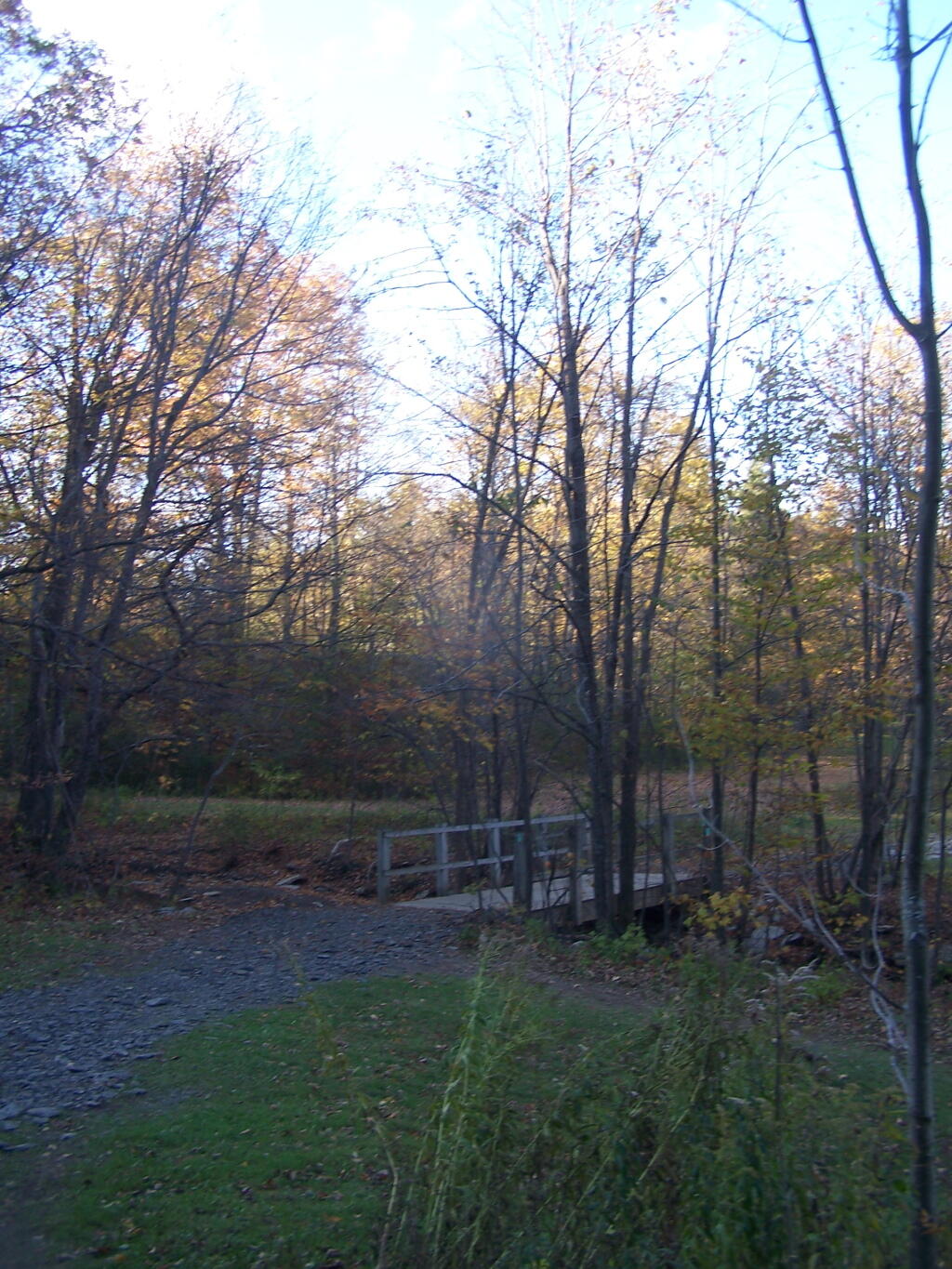 Photo: Replaced Paint Mine Creek Bridge Photo: Replaced Paint Mine Creek Bridge