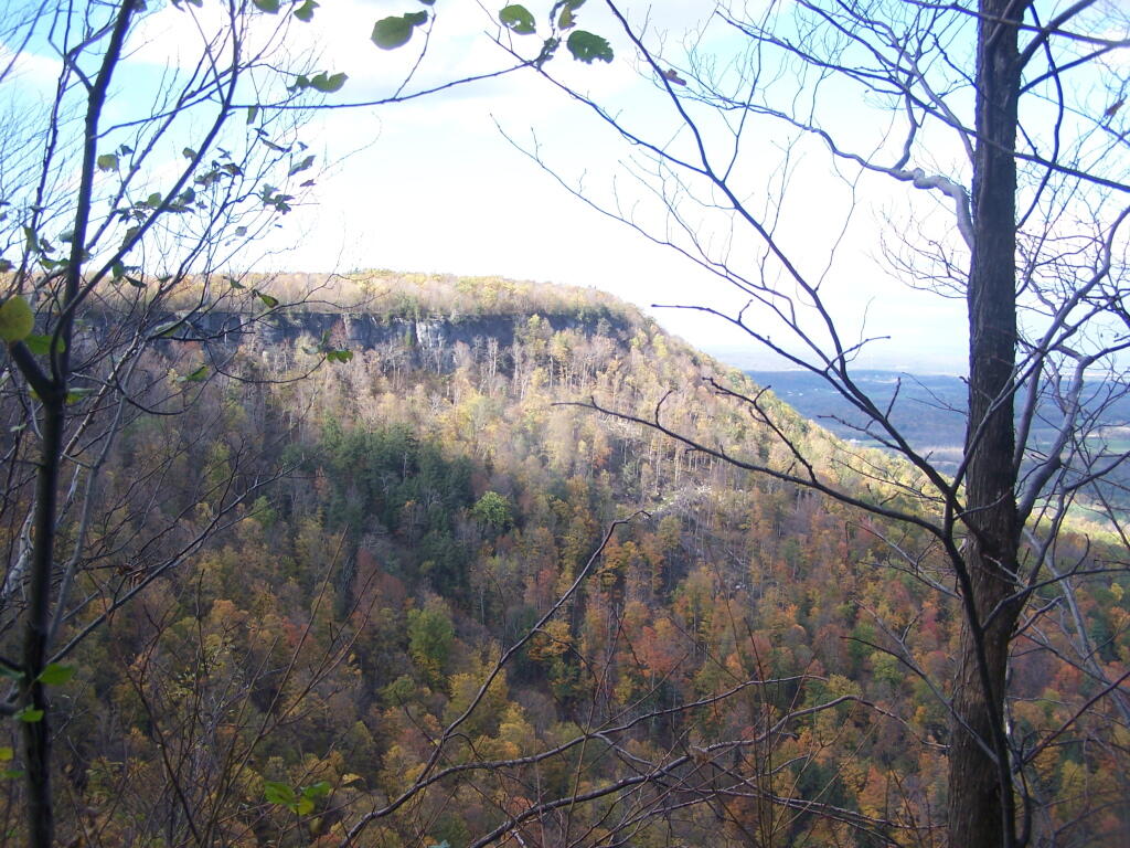 Photo: Hailes Cave Area Photo: Hailes Cave Area