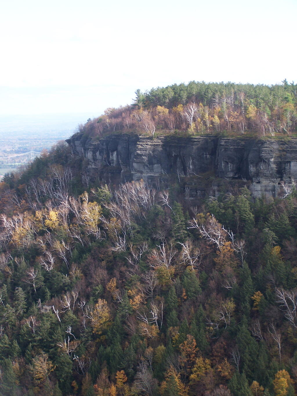 Photo: Horseshoe Lot from the North