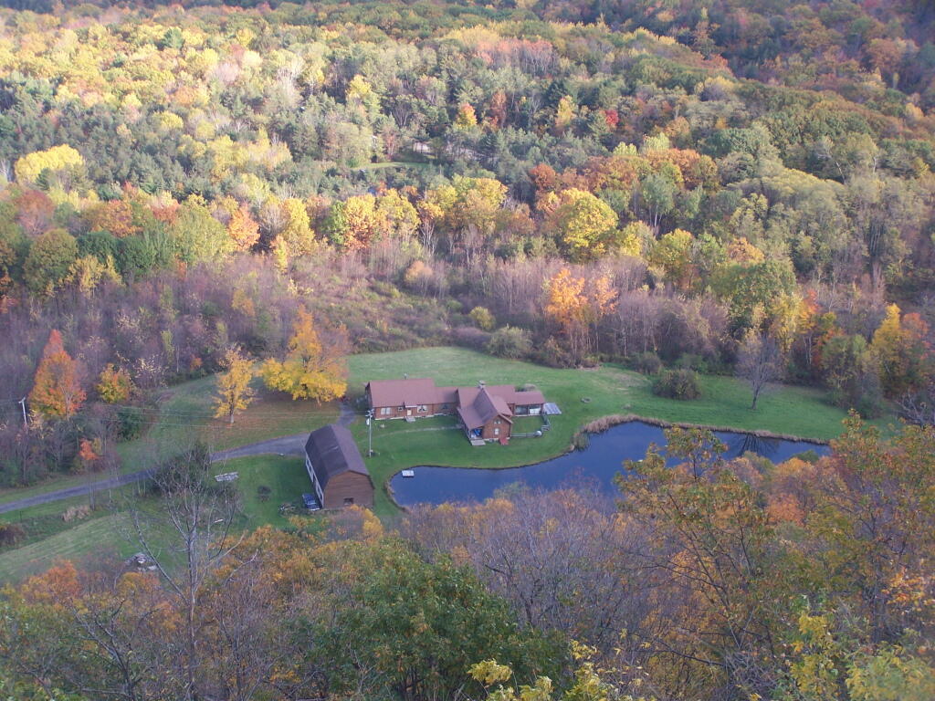 Photo: House and Pond Photo: House and Pond