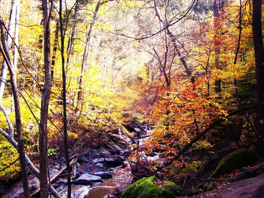 Photo: Kaaterskill Creek