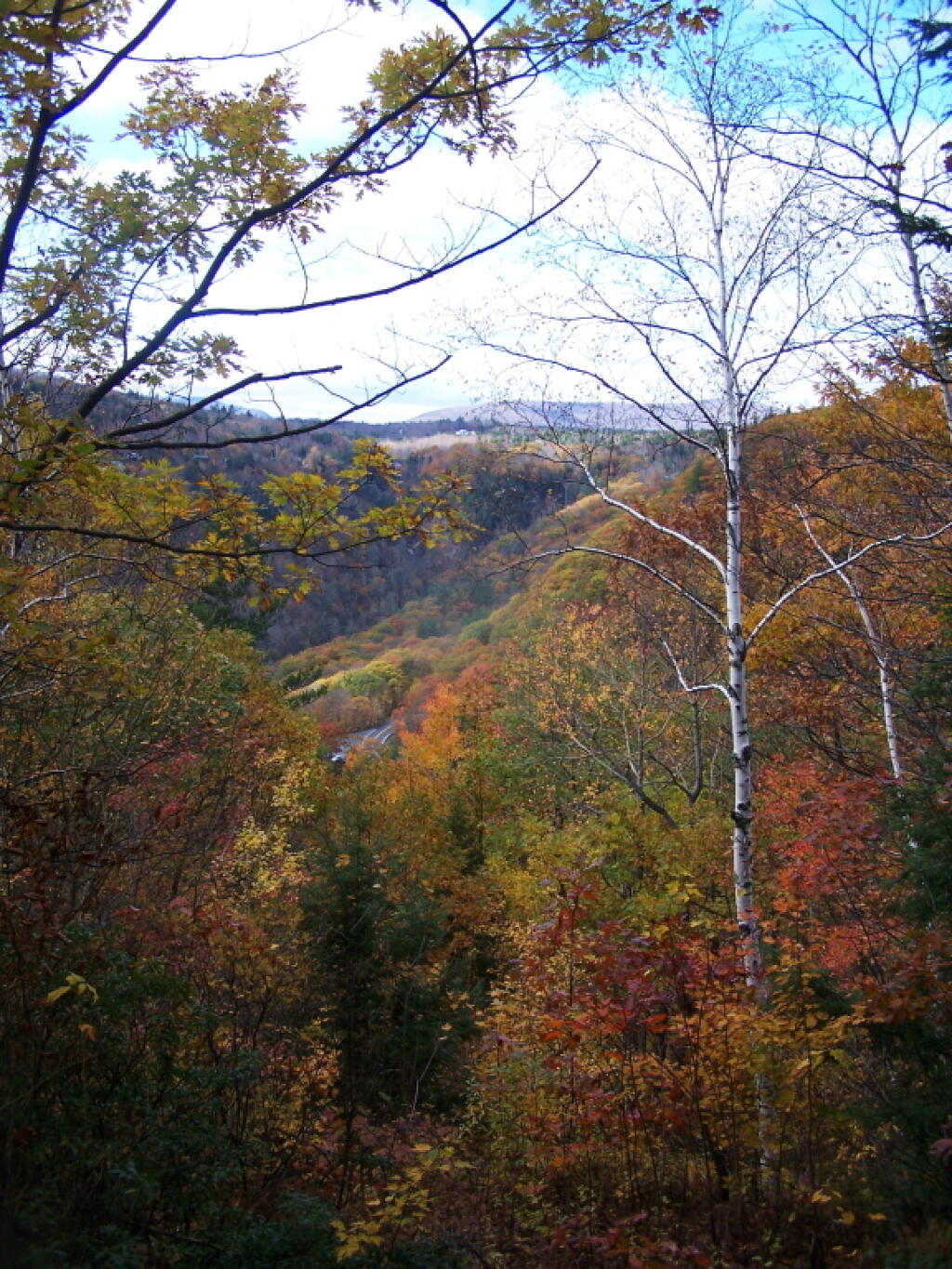 Photo: View from Laymans Monument Photo: View from Laymans Monument