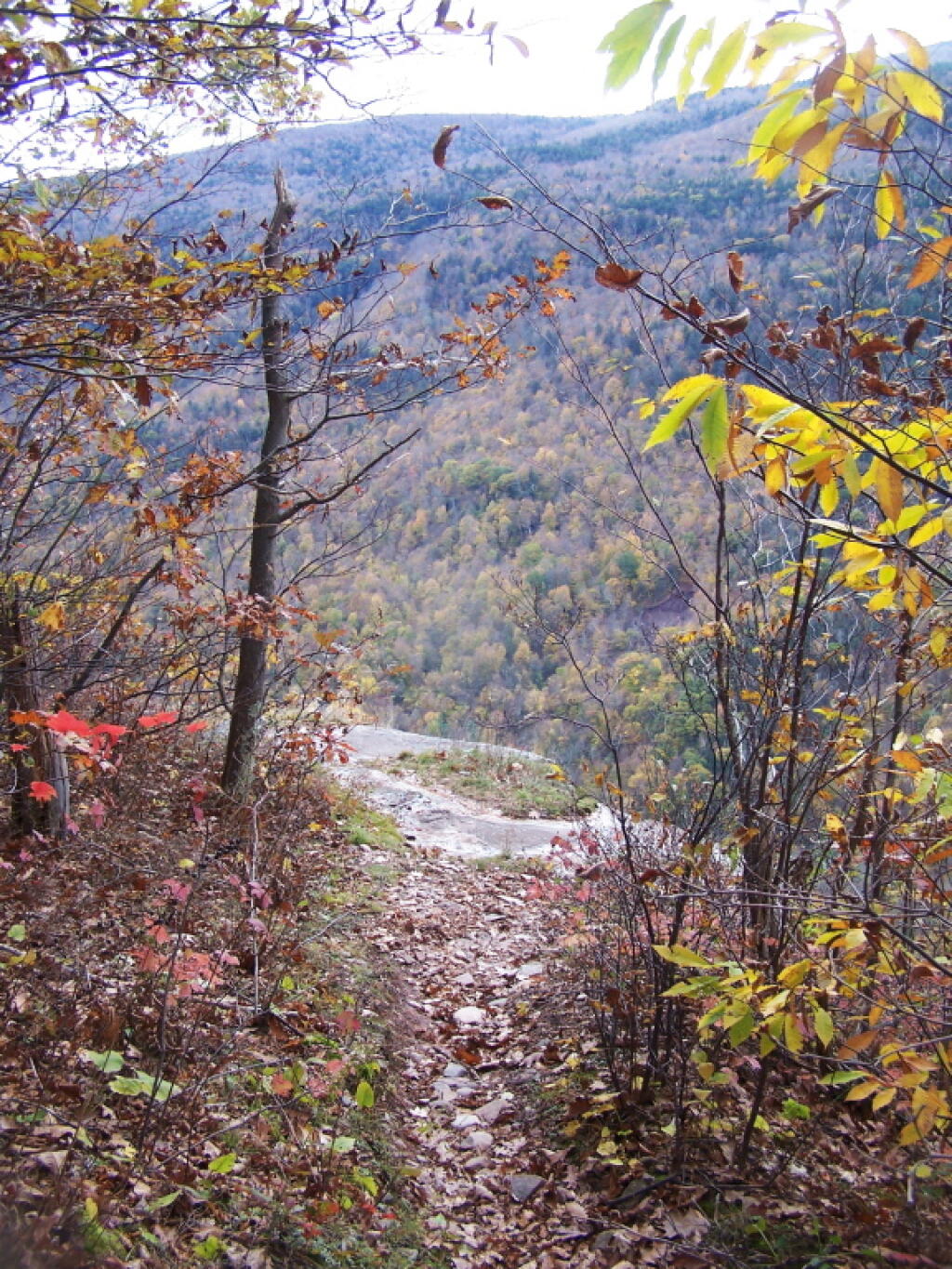 Photo: Trail to Edge Photo: Trail to Edge