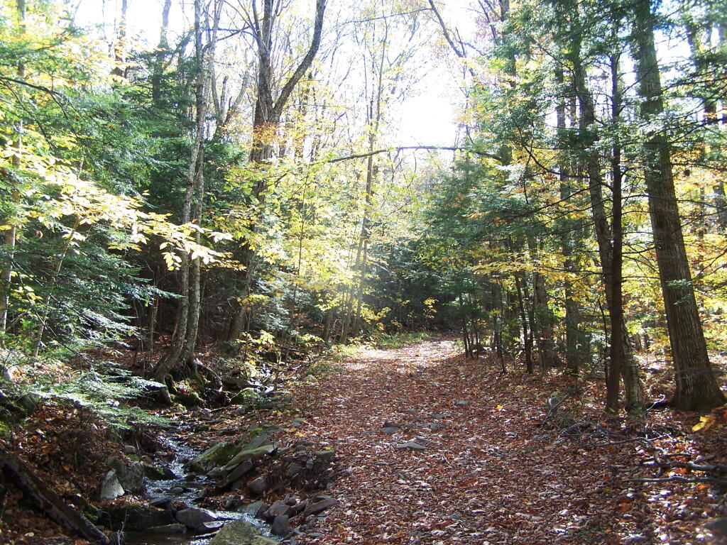 Photo: Sleepy Hollow Horse Trail