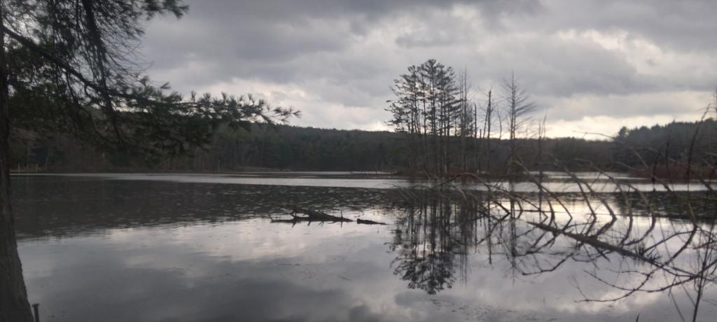 Photo: Island Photo: Island