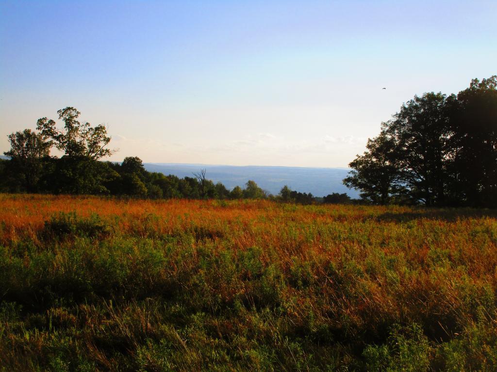 Photo: Grasslands Photo: Grasslands