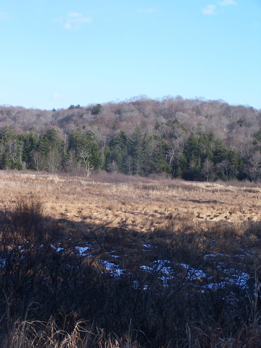 Photo: Snow at Powley Place