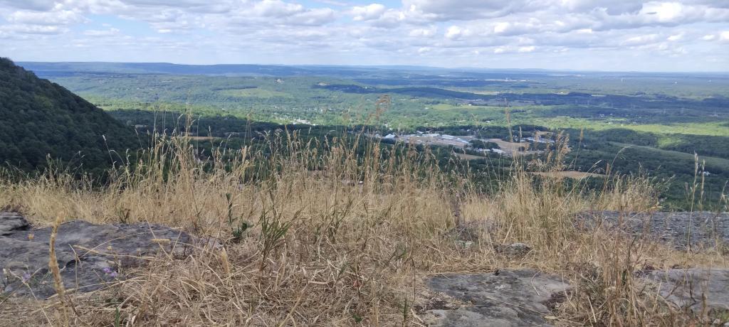 Photo: Dry Grass at Hang Gliders Cliff Photo: Dry Grass at Hang Gliders Cliff