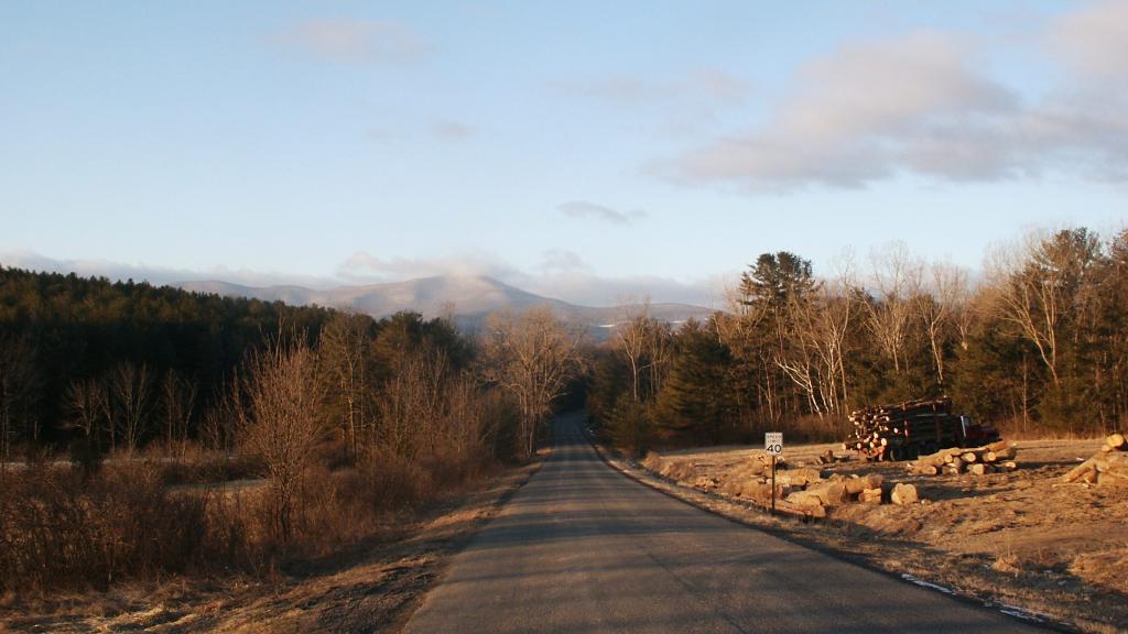 Photo: Carter Bridge Road Photo: Carter Bridge Road