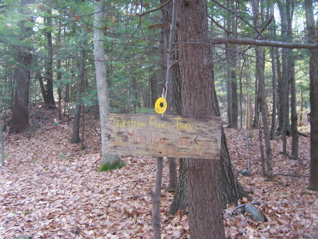 Photo: Trail Sign Heading East Photo: Trail Sign Heading East