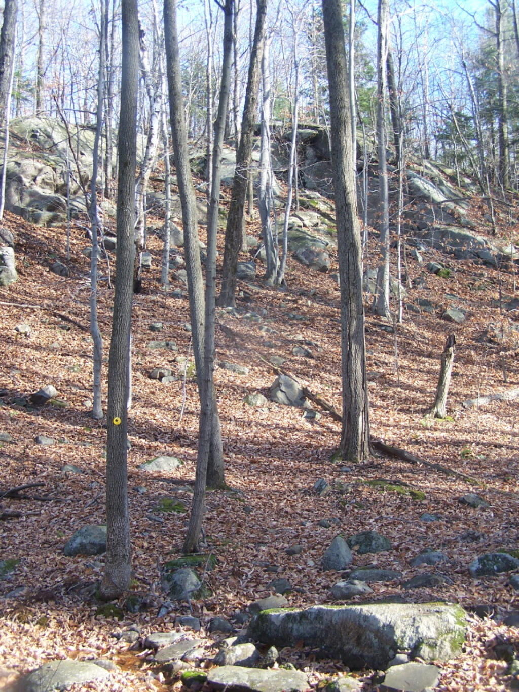 Photo: Down Thru Another Ravine Photo: Down Thru Another Ravine