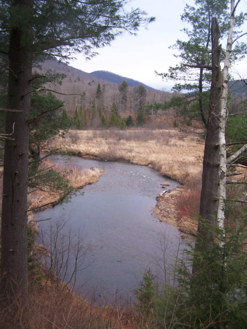 Photo: East Branch Photo: East Branch