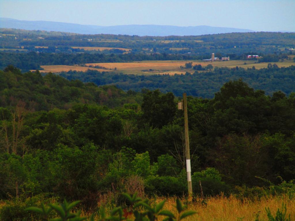Photo: East to Ithaca Photo: East to Ithaca