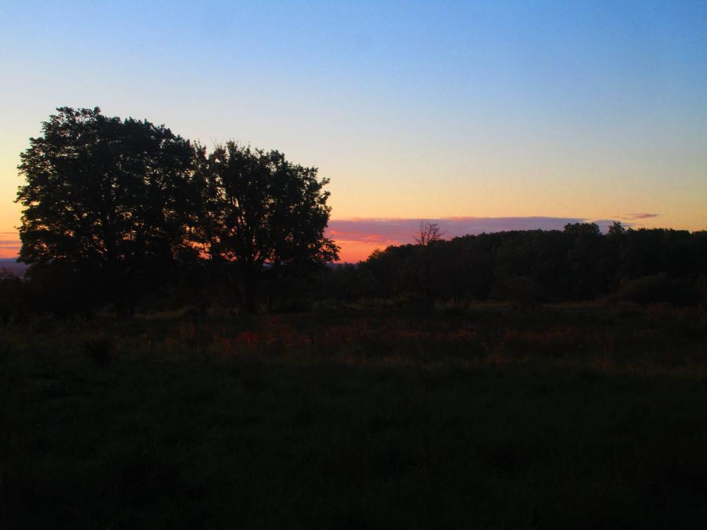 Photo: Dawn Photo: Dawn