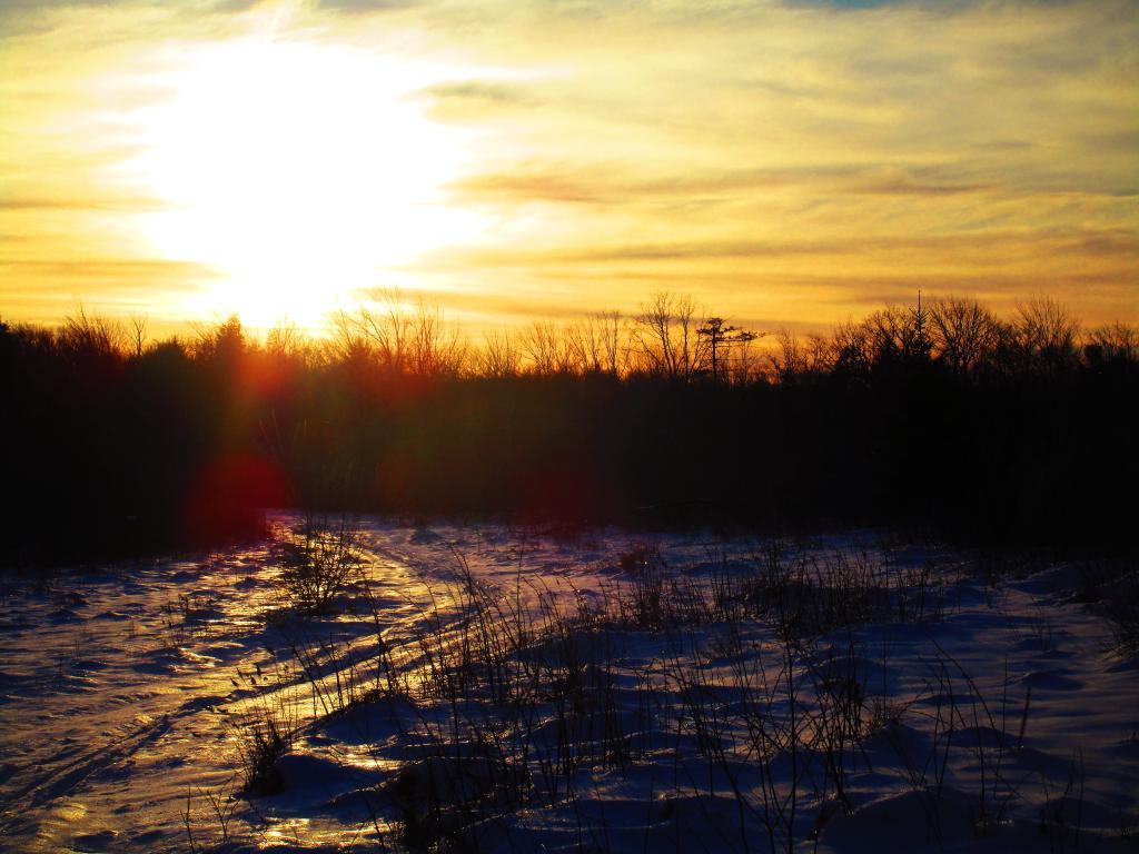 Photo: Setting Sun Photo: Setting Sun