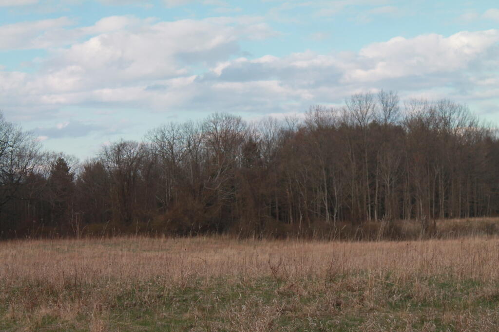 Photo: Still Kind of a Winter Scene Photo: Still Kind of a Winter Scene