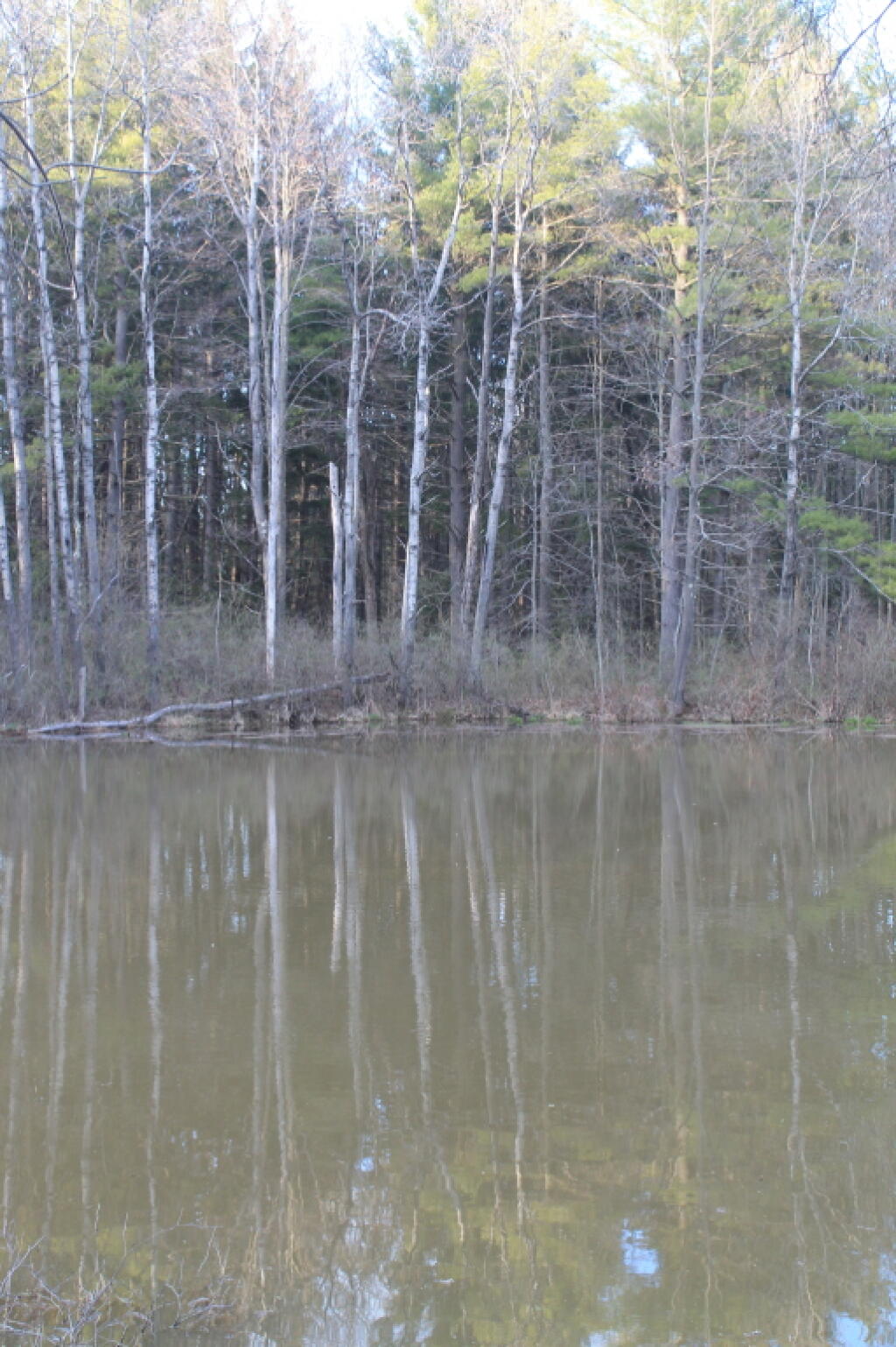 Photo: Pond Photo: Pond