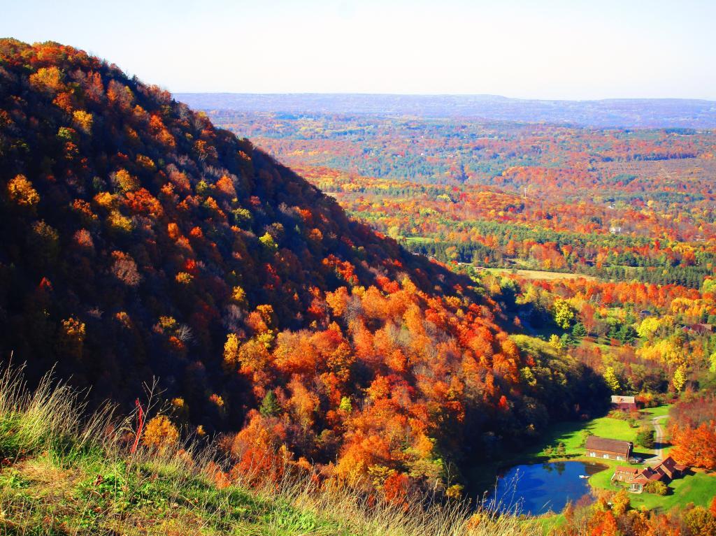 Photo: High Point and Settles Hill
