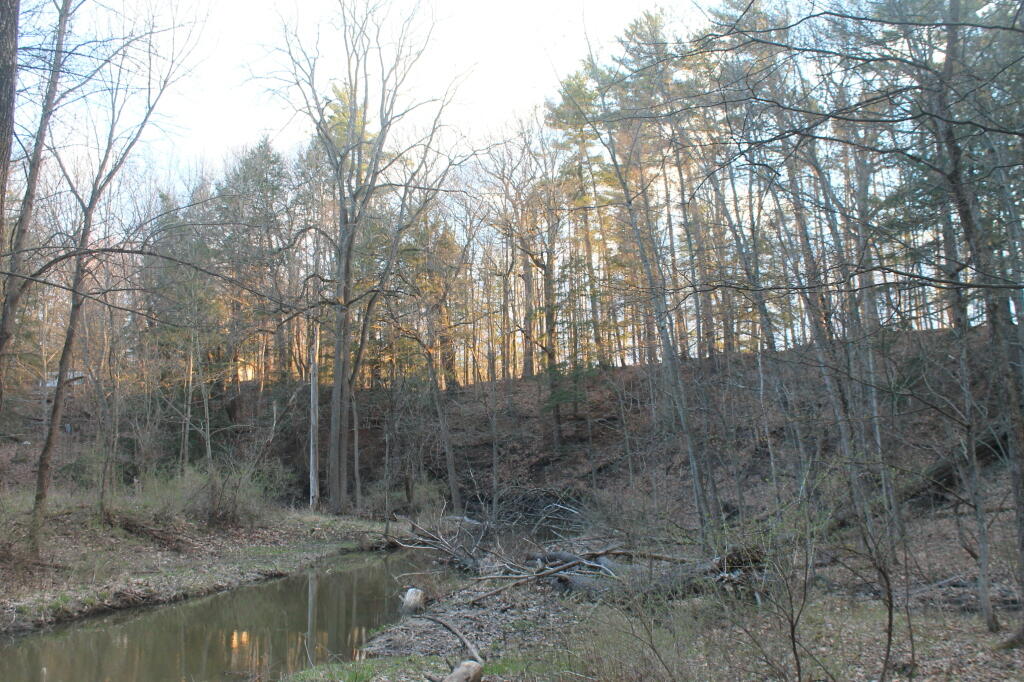 Photo: Dusk at Fordham's Crossing