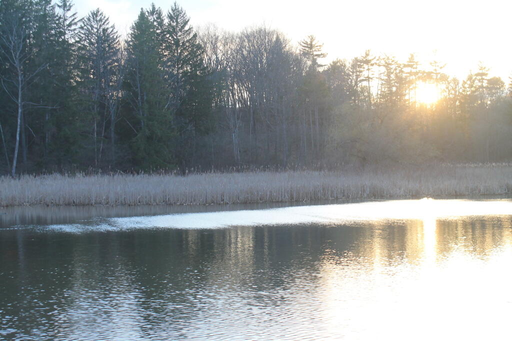 Photo: Setting Sun Near Game Farm Road Photo: Setting Sun Near Game Farm Road