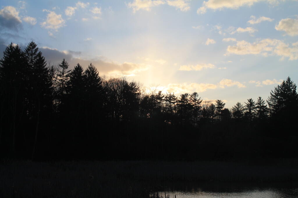 Photo: Goodbye Sun Photo: Goodbye Sun