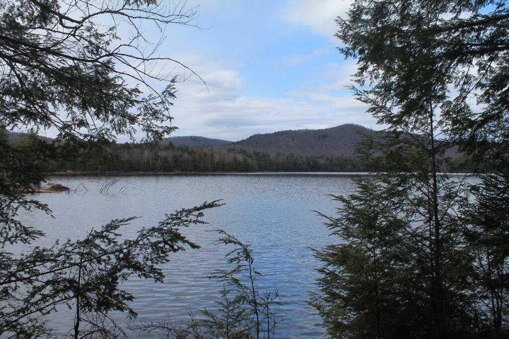 Photo: Wilcox Lake Photo: Wilcox Lake