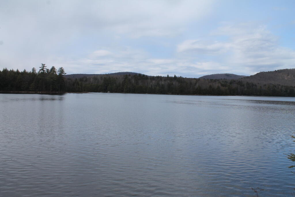 Photo: Wilcox Lake Photo: Wilcox Lake