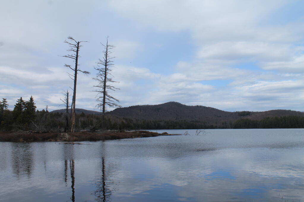 Photo: Wilcox Lake Photo: Wilcox Lake