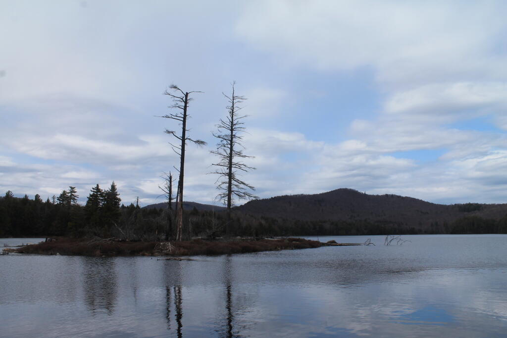 Photo: Island Photo: Island