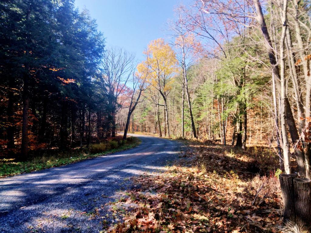 Photo: Turn on CCC Road